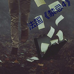 法國《禁忌4》