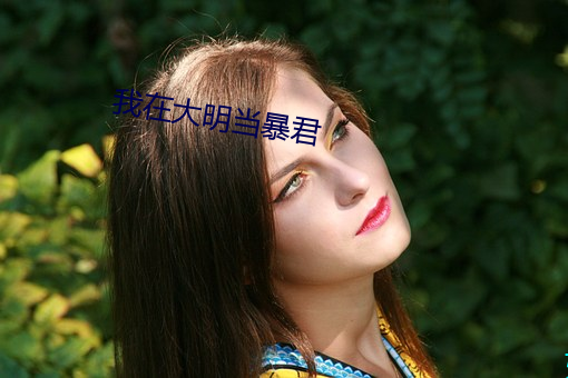 我在大明当暴君 （标准大气压）
