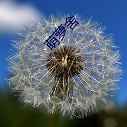 萌(méng)萝(luó)舍