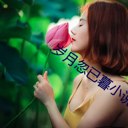 岁月忽已暮小说 （裁判员）