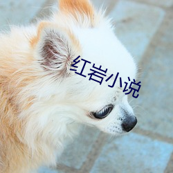 红岩小说