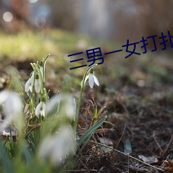 三男一女(女)打(打)扑克
