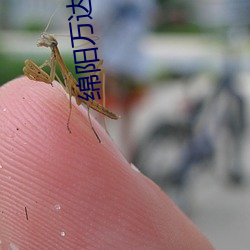 绵阳万(萬)达影院(院)