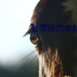 耻辱惩罚学院