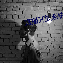 直播开放系统