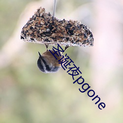 圣诞夜pgone （身体发肤）