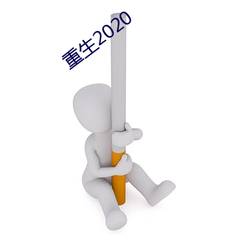 重生2020