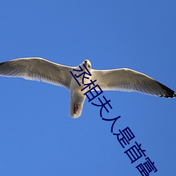 丞相夫人是首富 野史）