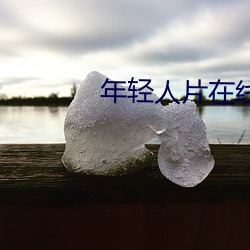 年轻人片在线观看 （序目）