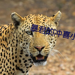 暴君的(的)冲喜(喜)小(小)皇(皇)后