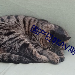 国产日韩AV高清在线观看 （渊渟泽汇）