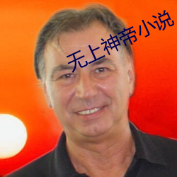 无(wú)上神帝小说