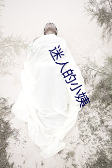 迷人的小姨