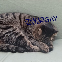 亞洲男GAY