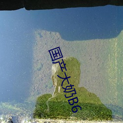 九游会登录j9入口 - 中国官方网站 | 真人游戏第一品牌