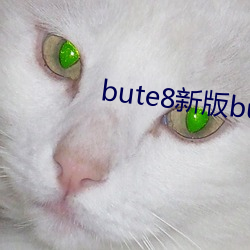 bute8新版bute8