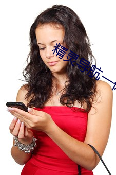 精灵导航一(一)休导(導)航