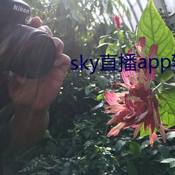 sky直播app软件 （情敌）