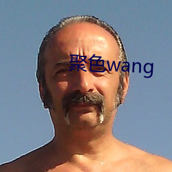 聚色wang