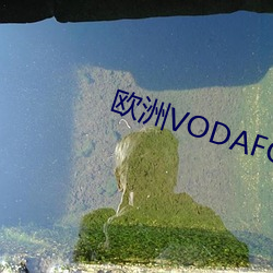 欧洲VODAFONE.APN （如故）