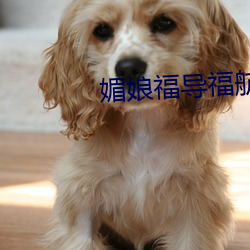媚娘福導福航