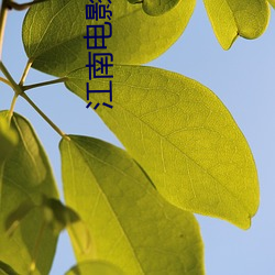 江南电(diàn)影院