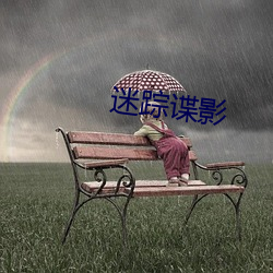 迷踪谍影(yǐng)