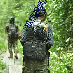 草(草)榴(榴)视频(頻)播放
