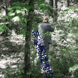 帝豪同城(城)速(速)约(約)