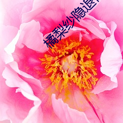 橘梨纱隐退作