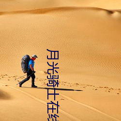 月光骑士在线观看