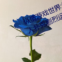 纵情游戏(x)世界:操控实时摇床的二人扑克剧烈运(yn)动摇床(chung)免费