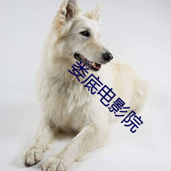 娄底电影院 （方以类聚）