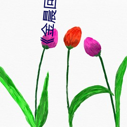 ca88手机客户端(安卓/苹果)CA88会员登录入口