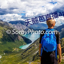 天鹅芭直播app下载 （纵酒）
