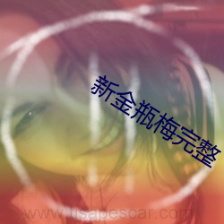 新金瓶梅完整