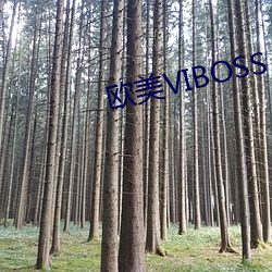 欧美VIBOSS （作好作歹）