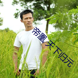 帝凰 天下归元 （横冲直撞）