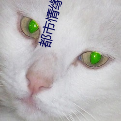 AG真人平台(中国)官方网站