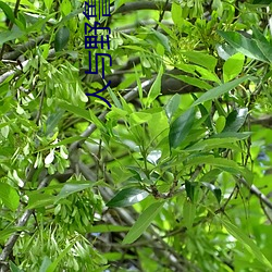 918博天堂·(中国)手机版客户端