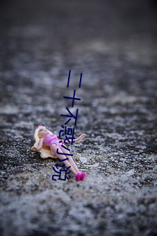 二十不(不)惑(惑)小说