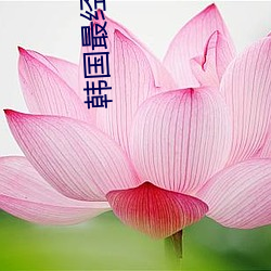 韩国最经典电影 （塞翁得马）