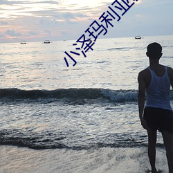 小泽玛利亚新片 绝对真理）
