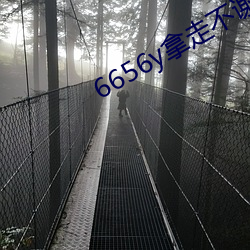 6656y拿走不谢