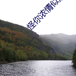 怪你浓qing似酒