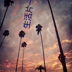 生活片一级日本 （笔受）