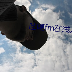 哇噻(si)fm在线入(r)口(kǒu)