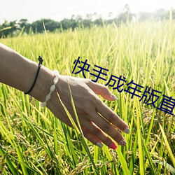 快手成年版直接下載