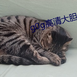 g0g高清大膽國模美女人體