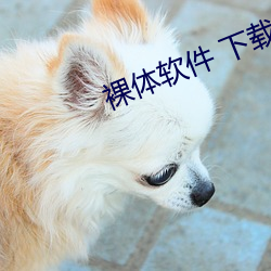 裸体软件 下载